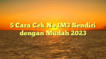 5 Cara Cek No IM3 Sendiri dengan Mudah 2023