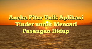 Aneka Fitur Unik Aplikasi Tinder untuk Mencari Pasangan Hidup