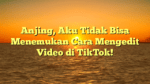 Anjing, Aku Tidak Bisa Menemukan Cara Mengedit Video di TikTok!