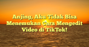 Anjing, Aku Tidak Bisa Menemukan Cara Mengedit Video di TikTok!