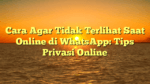 Cara Agar Tidak Terlihat Saat Online di WhatsApp: Tips Privasi Online