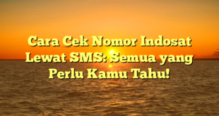 Cara Cek Nomor Indosat Lewat SMS: Semua yang Perlu Kamu Tahu!