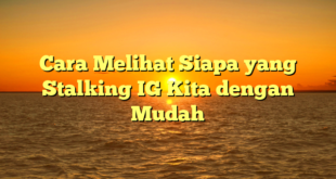 Cara Melihat Siapa yang Stalking IG Kita dengan Mudah