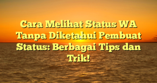 Cara Melihat Status WA Tanpa Diketahui Pembuat Status: Berbagai Tips dan Trik!