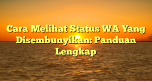 Cara Melihat Status WA Yang Disembunyikan: Panduan Lengkap