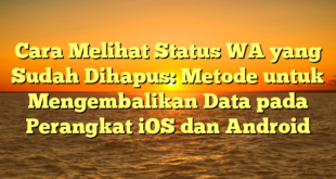 Cara Melihat Status WA yang Sudah Dihapus: Metode untuk Mengembalikan Data pada Perangkat iOS dan Android