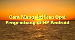 Cara Mengaktifkan Opsi Pengembang di HP Android