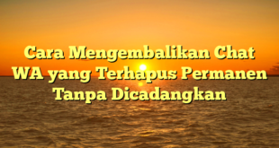 Cara Mengembalikan Chat WA yang Terhapus Permanen Tanpa Dicadangkan