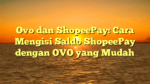 Ovo dan ShopeePay: Cara Mengisi Saldo ShopeePay dengan OVO yang Mudah