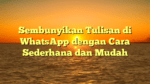 Sembunyikan Tulisan di WhatsApp dengan Cara Sederhana dan Mudah