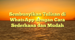 Sembunyikan Tulisan di WhatsApp dengan Cara Sederhana dan Mudah