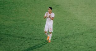 indonesia vs laos