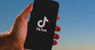 Cara Menyimpan Foto dan Video dari TikTok