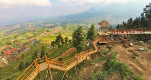Tempat Liburan Alam Terbaik untuk Solo Traveler