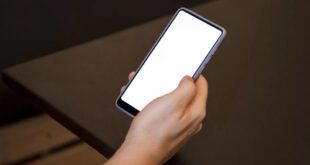 Review Smartphone Terbaik dengan Harga Terjangkau 2025